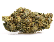 Orange cbd boost marihuana cbd 