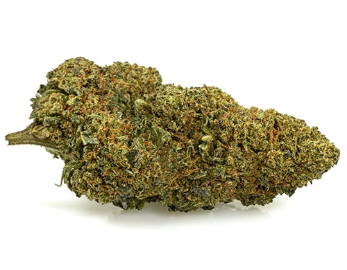Orange-cbd-boost-marihuana-cbd