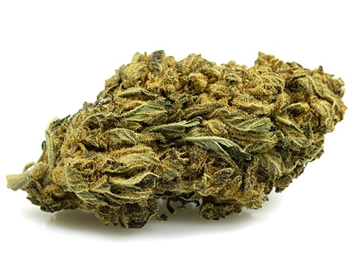 lemon-cheese-small-marihuana-cbd