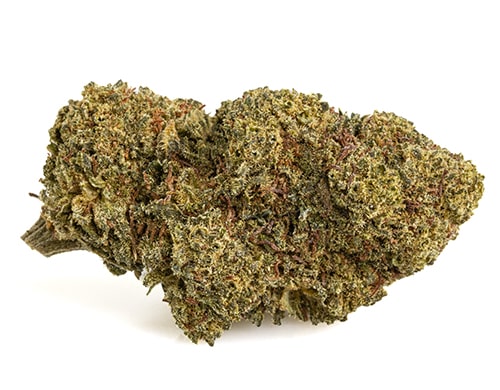 mango-cbd-boost-pequeño-marihuana-cbd