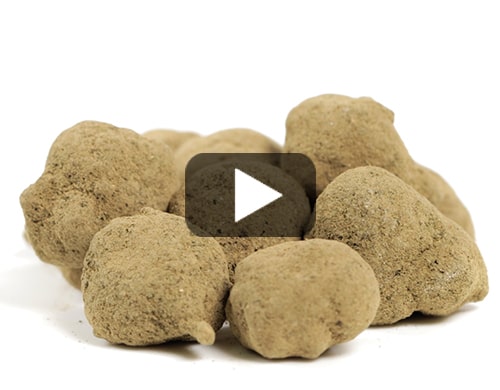 moonrock-marihuana-cbd