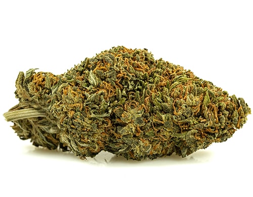 sweet-berry-small-marihuana-cbd