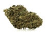 256564 Primer plano de una cima de Marihuana cbd Sweet Berry con tricomas destacados y textura natural