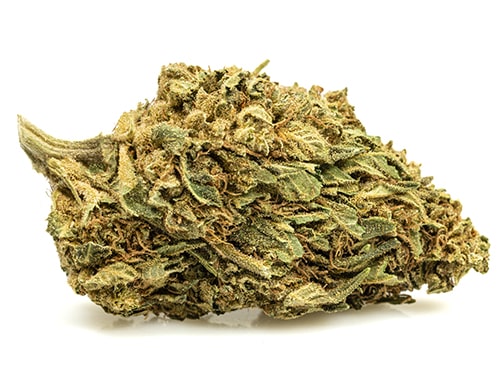 MELON KUSH-small-marihuana-cbd