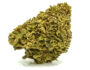 2142 Cogollo de cannabis cbd Gorilla Glue