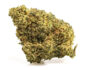 166418 Cogollo de marihuana cbd master kush