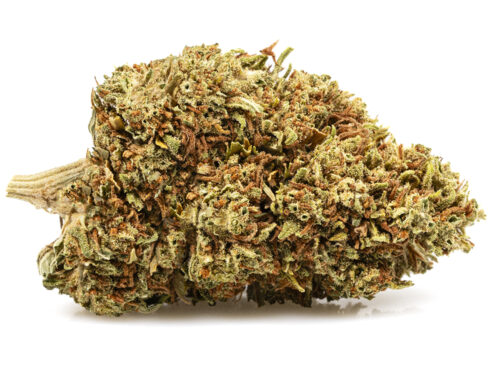 Marihuana cbd do si dos