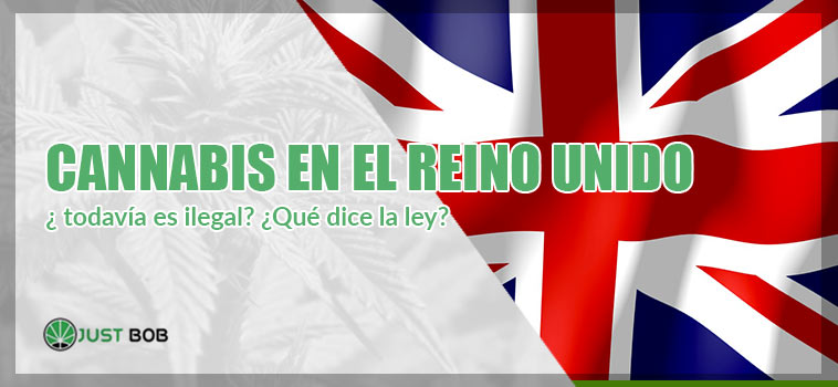 Comprar y enviar a domicilio el cannabis en el Reino Unido ¿ todavía es ilegal? ¿Qué dice la ley?