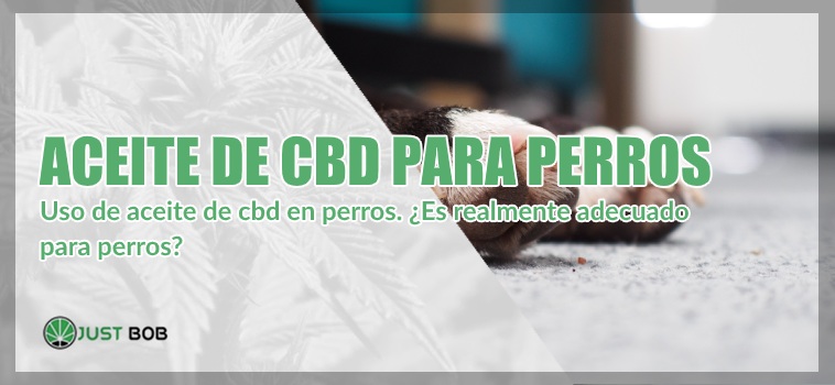 cannabis light y Aceite de CBD para perros