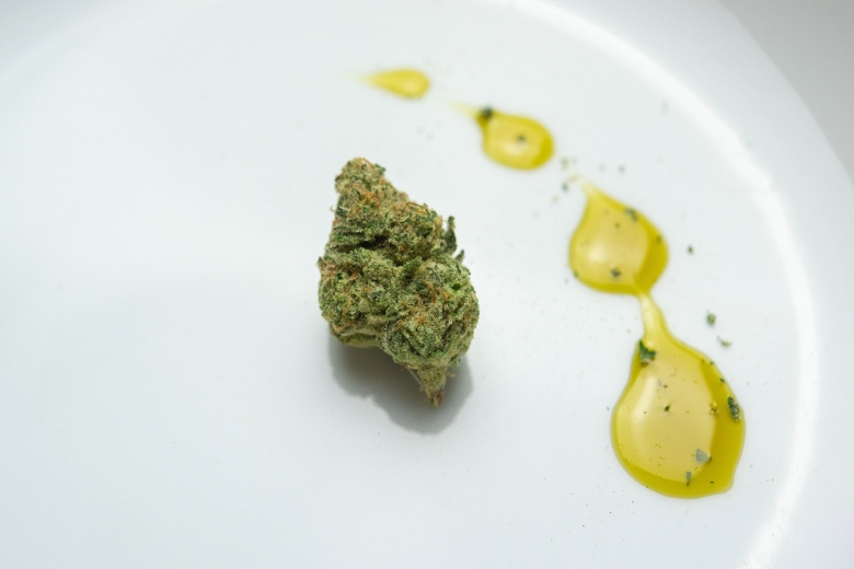 aceite de cbd en perros