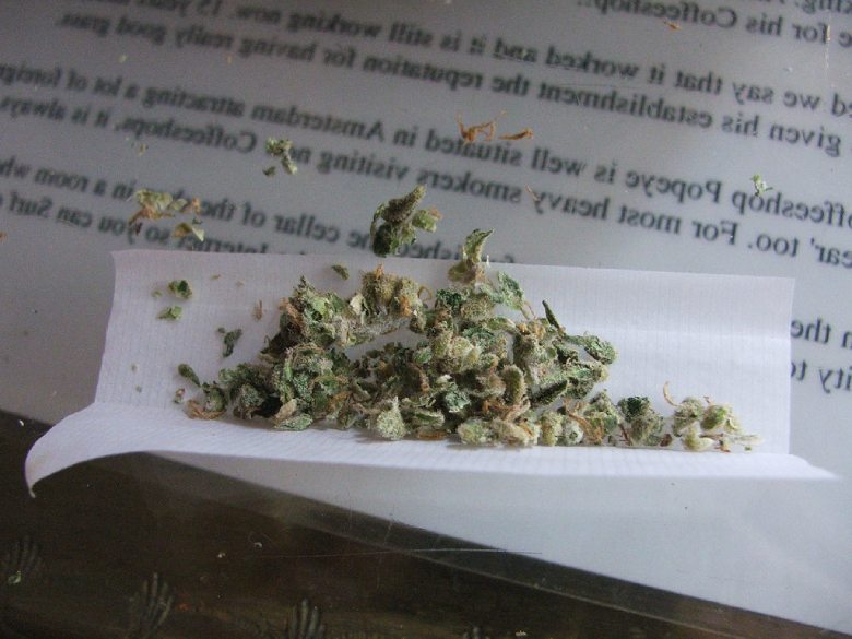marihuana en España canamo cbd