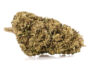 Primer plano de una cima de Marihuana cbd Sweet Berry con tricomas destacados y textura natural