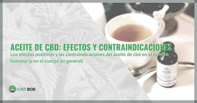Aceite de CBD: efectos y contraindicaciones