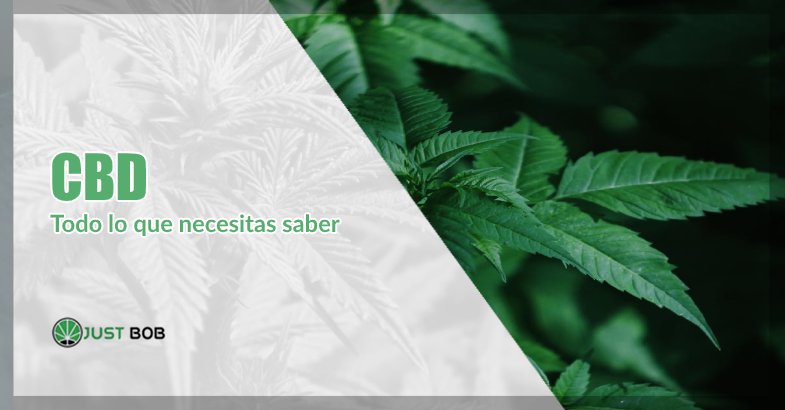 cbd justbobshop