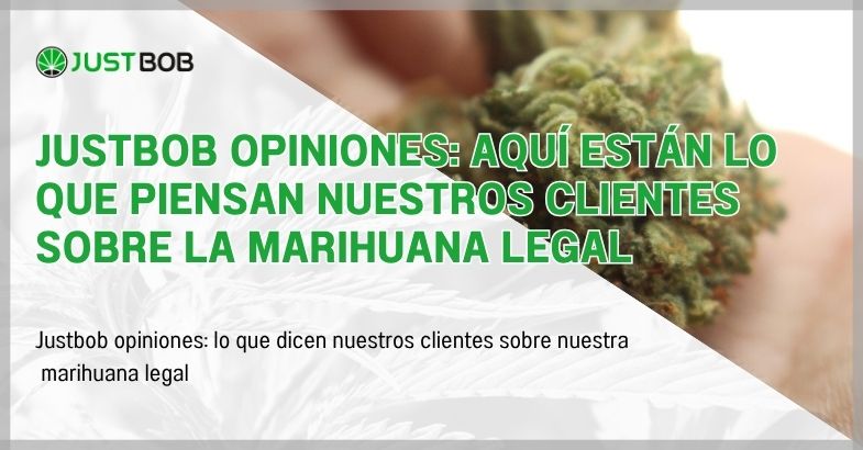 Justbobshop opiniones: aquí están lo que piensan nuestros clientes sobre la marihuana legal