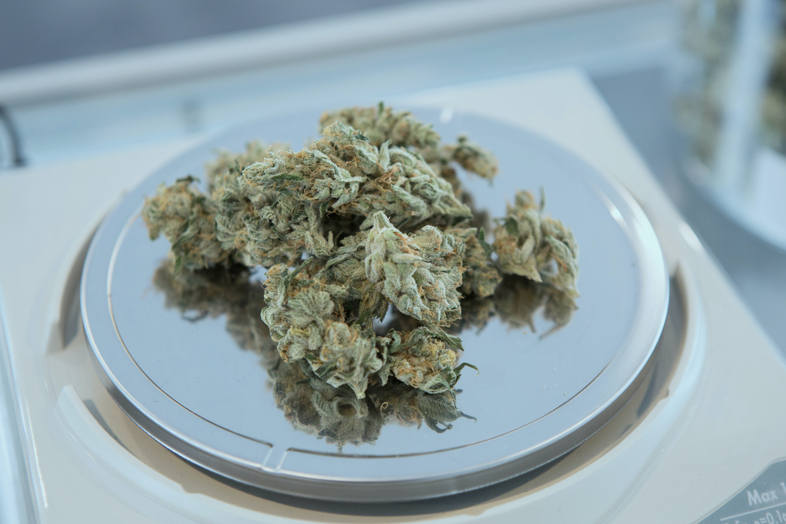 Flores de cannabis CBD natural en contraste con los riesgos de los cannabinoides sintéticos