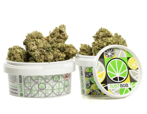 Cogollos de Marihuana CBD Zkittles de alta calidad en un contenedor sellado para mantener la frescura