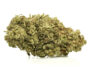 Primer plano de Marihuana CBD Zkittles rica en CBG de cultivo orgánico y sostenible