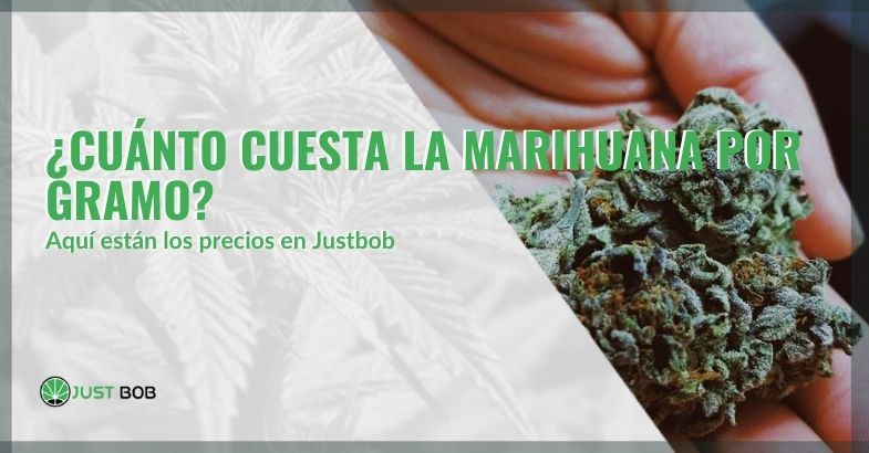 Los precios de Justbobshop por un gramo de marihuana