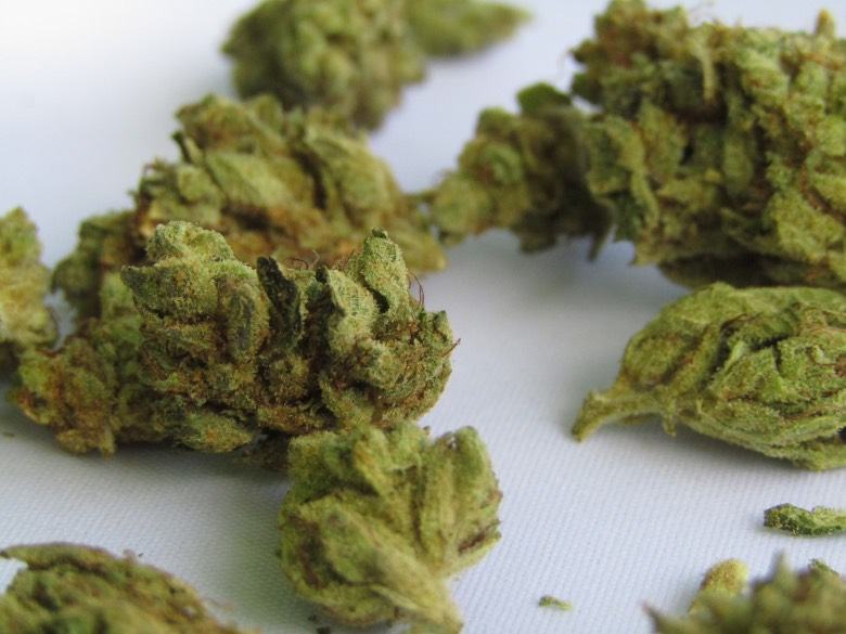 Si cultivas cáñamo ligero en casa, puede tener algunos problemas.