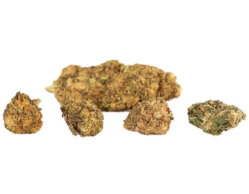 Marihuana ligera Mango Haze con toques de mango