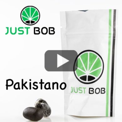 pakistano-excelente-calidad-de-hachis-cbd