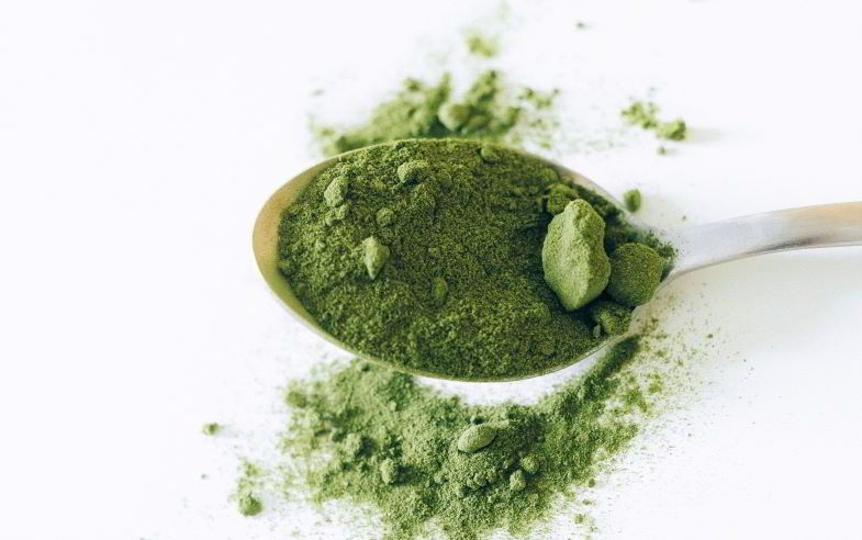 Proteína de cáñamo en polvo sobre una superficie