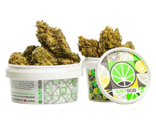 Flores de Marihuana cbd AK47 CBD BOOST en un contenedor blanco