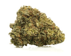 Primer plano de una cima de Marihuana cbd AK47 CBD BOOST con tricomas destacados y textura natural 