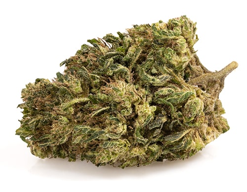 ak47-cbd-boost-small-marihuana-cbd