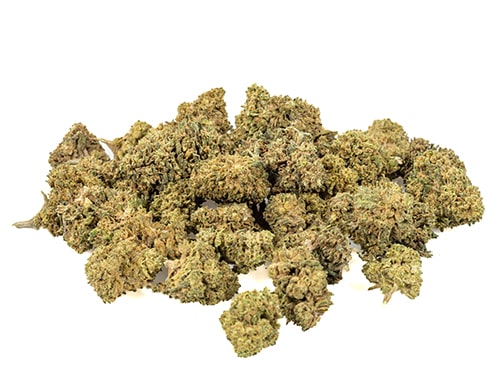 bubblegum small marihuana cbd