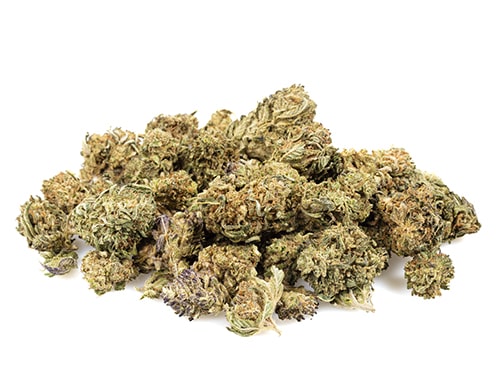 california haze small marihuana cbd