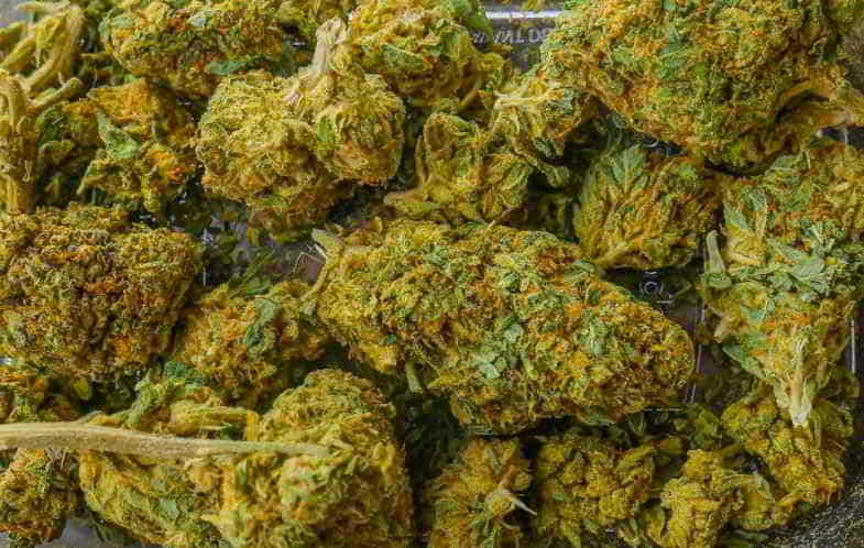 Investigación sobre cannabinoides y cefaleas en laboratorio