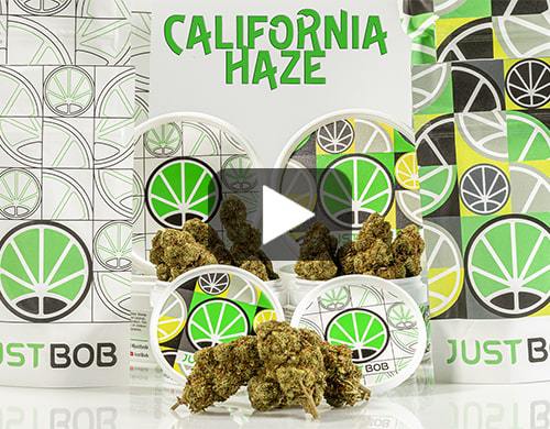 california-haze-video-marihuana-cbd