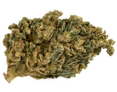 Cogollo CBD de HQ cbd boost 