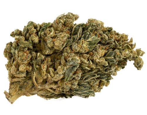 Cogollo CBD de HQ cbd boost