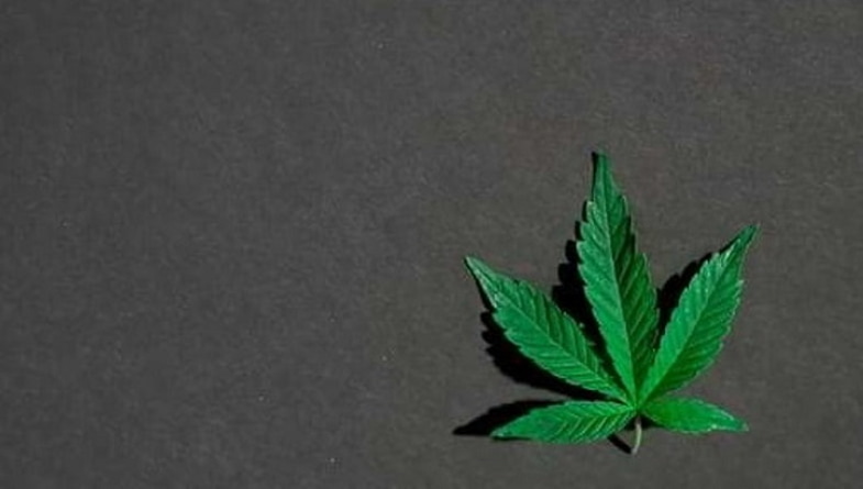 Ganja y rastafarismo