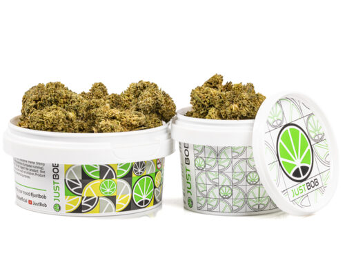 Lata con Gelato cbd boost