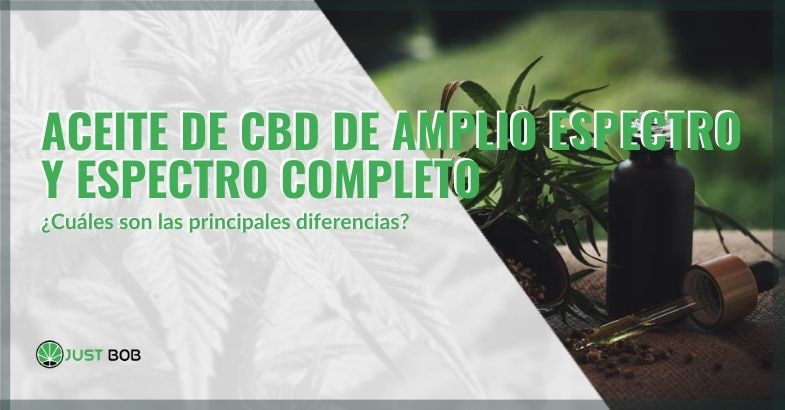 Aceite de CBD de amplio espectro/espectro completo: diferencias | Justbobshop