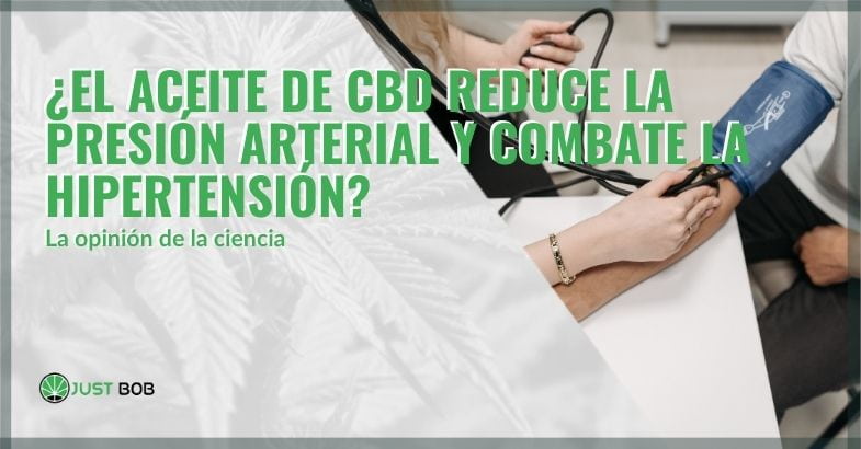 El aceite de CBD contrarresta la hipertensión | Justbobshop