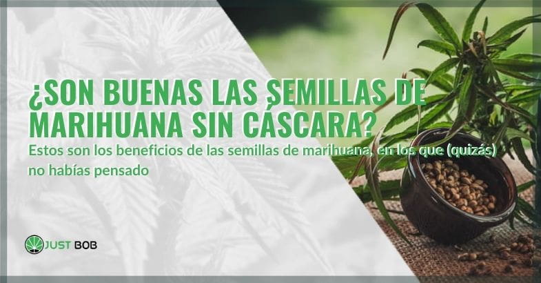 ¿Son beneficiosas las semillas de cáñamo descascarilladas? | Justbobshop