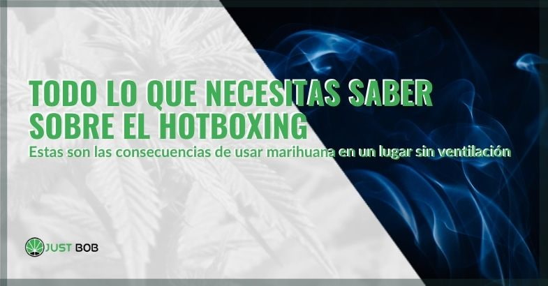 Todo sobre hotboxing | Justbobshop