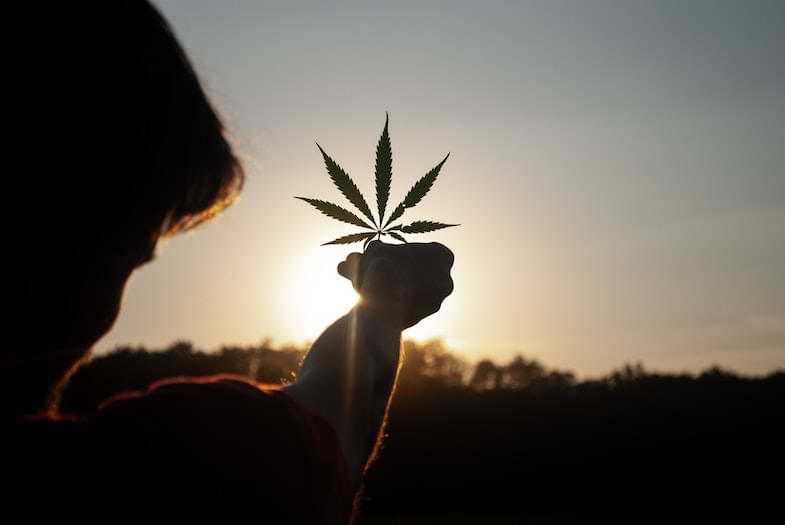 Cómo funciona el cannabicromeno