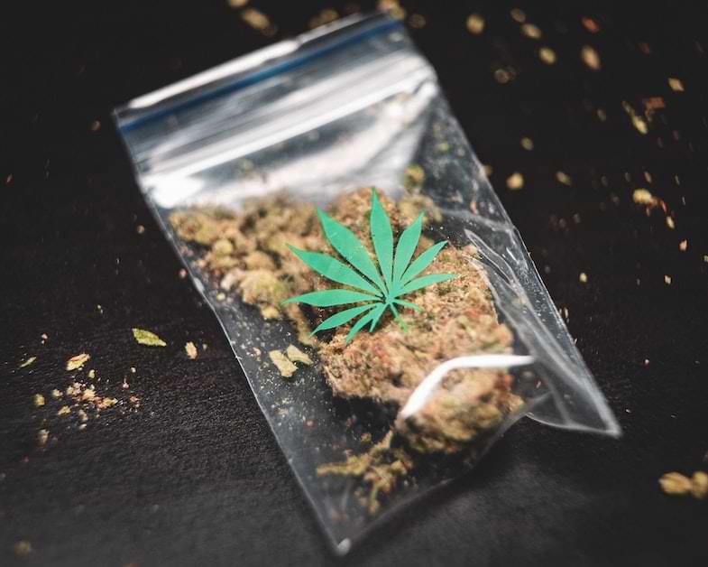 Detalle de crumble CBD concentrado con tonalidad dorada y consistencia seca