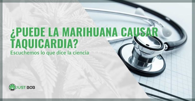 ¿Puede el cannabis causar taquicardia? | Justbobshop