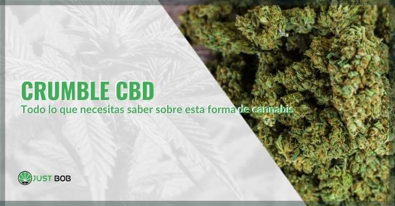 Todo sobre el crumble de CBD | Justbobshop