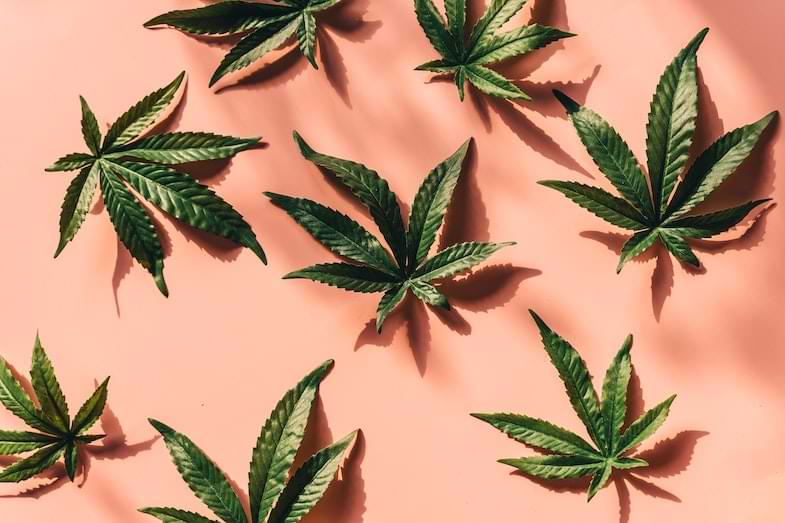 marihuana roja | Justbobshop