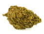 255349 Primer plano de Marihuana CBD skunk h4 cbd de cultivo orgánico y sostenible