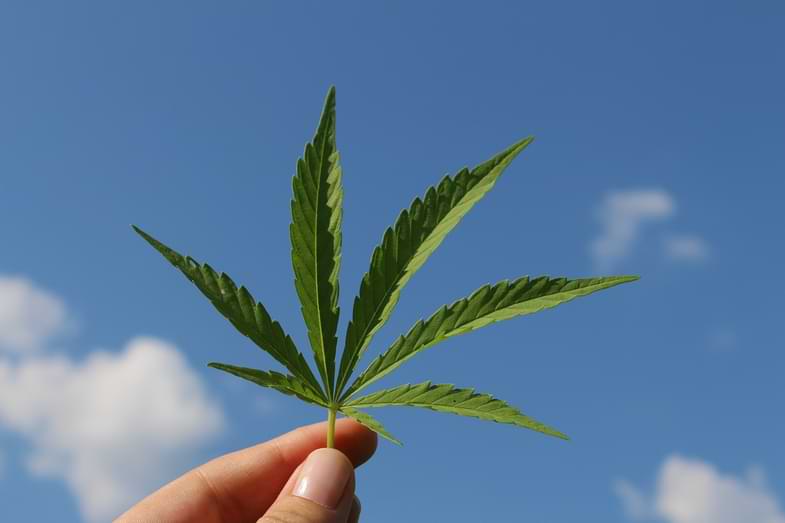 Estructura molecular de la cannabidivarina (CBDV), cannabinoide presente en la planta de cannabis