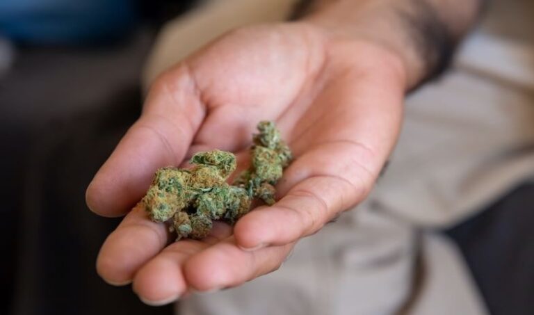Legalización en Francia: un "no" definitivo al HHC